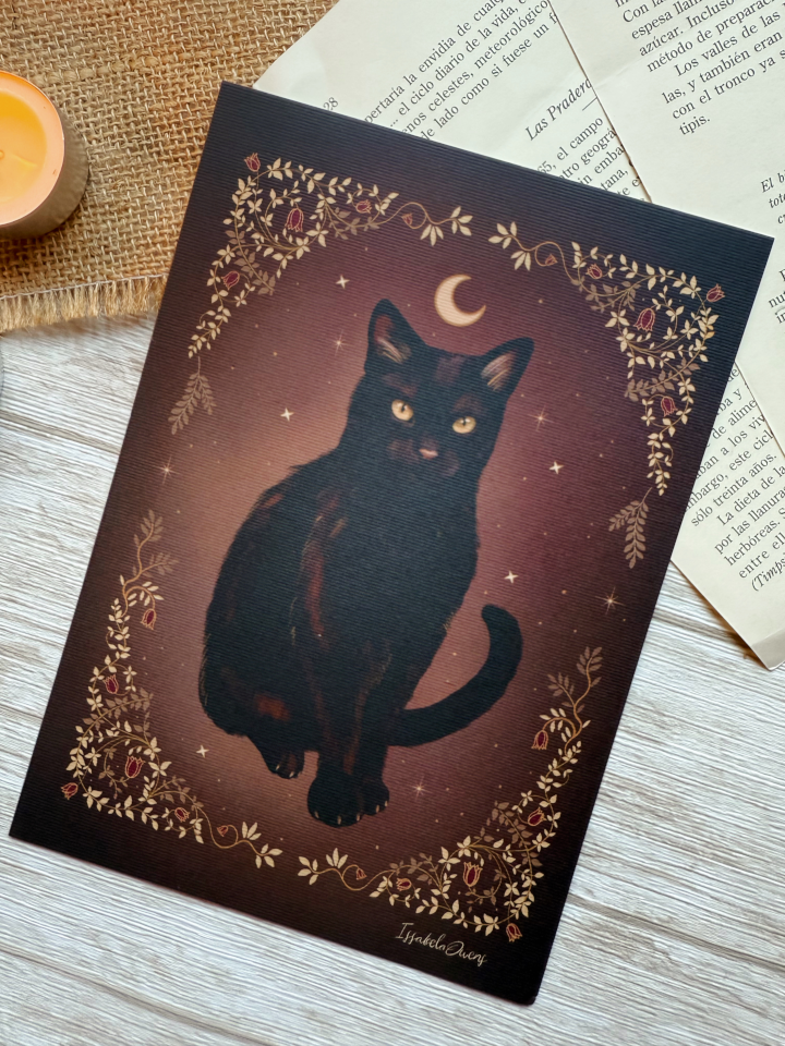 Gata Negra - Imagen 2