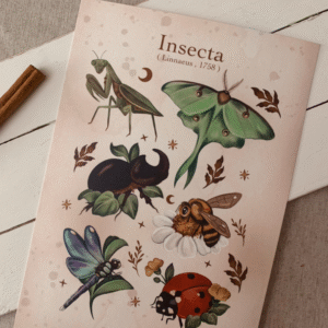 Lámina Insecta A5