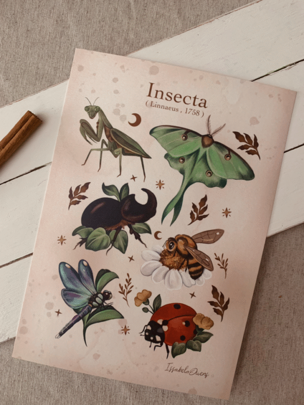Lámina Insecta A5