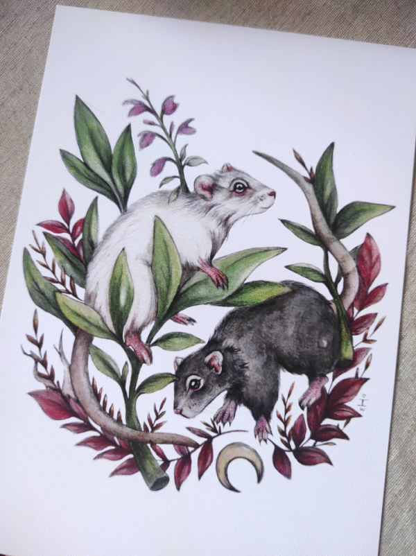 Lámina Ratitas Yin Yang