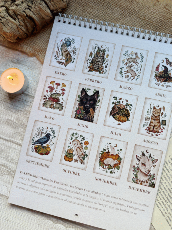 Calendario 2026 "Animales Familiares : las brujas y sus aliados" - Imagen 2