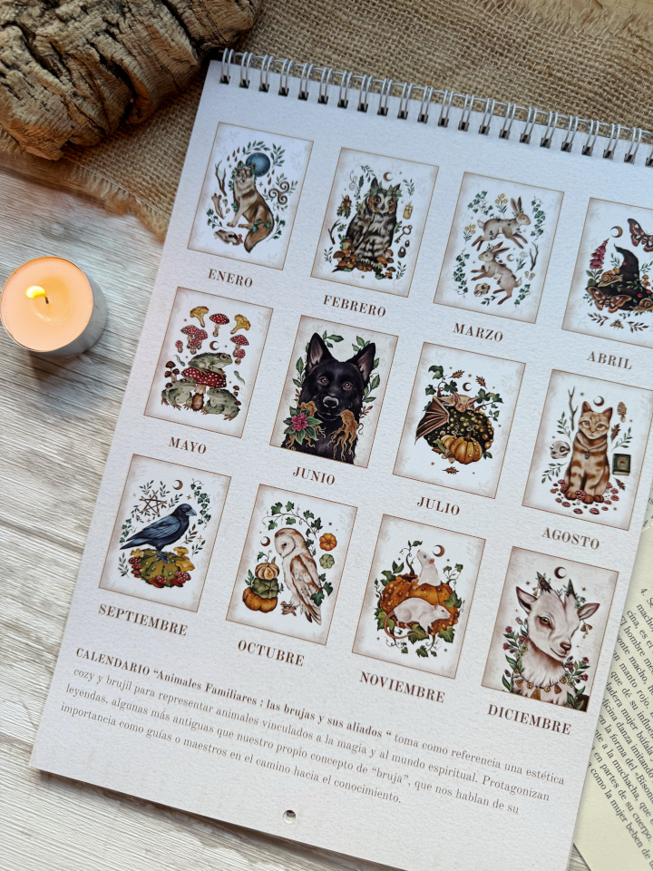 Calendario 2026 "Animales Familiares : las brujas y sus aliados" - Imagen 2