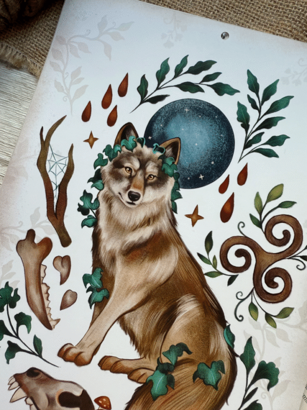 Calendario 2026 "Animales Familiares : las brujas y sus aliados" - Imagen 3