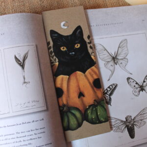 Marcapáginas Gato calabaza