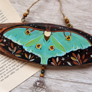 Atrapasol de polilla, Moth Suncatcher