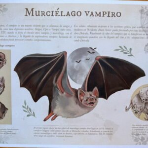 Murciélago Vampiro A3